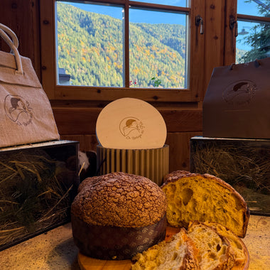 PANETTONE DEL FRÀ con farina gialla di Storo, mele e miele - 1 kg