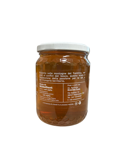 Miele di Millefiori 250 gr - Trentino