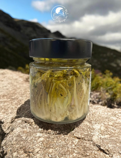 DANDELION HEARTS