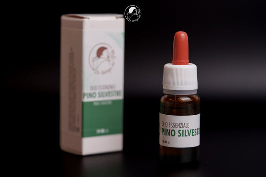 PINO SILVESTRE OLIO ESSENZIALE