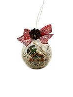 Sfera del Frà - ai sapori di montagna