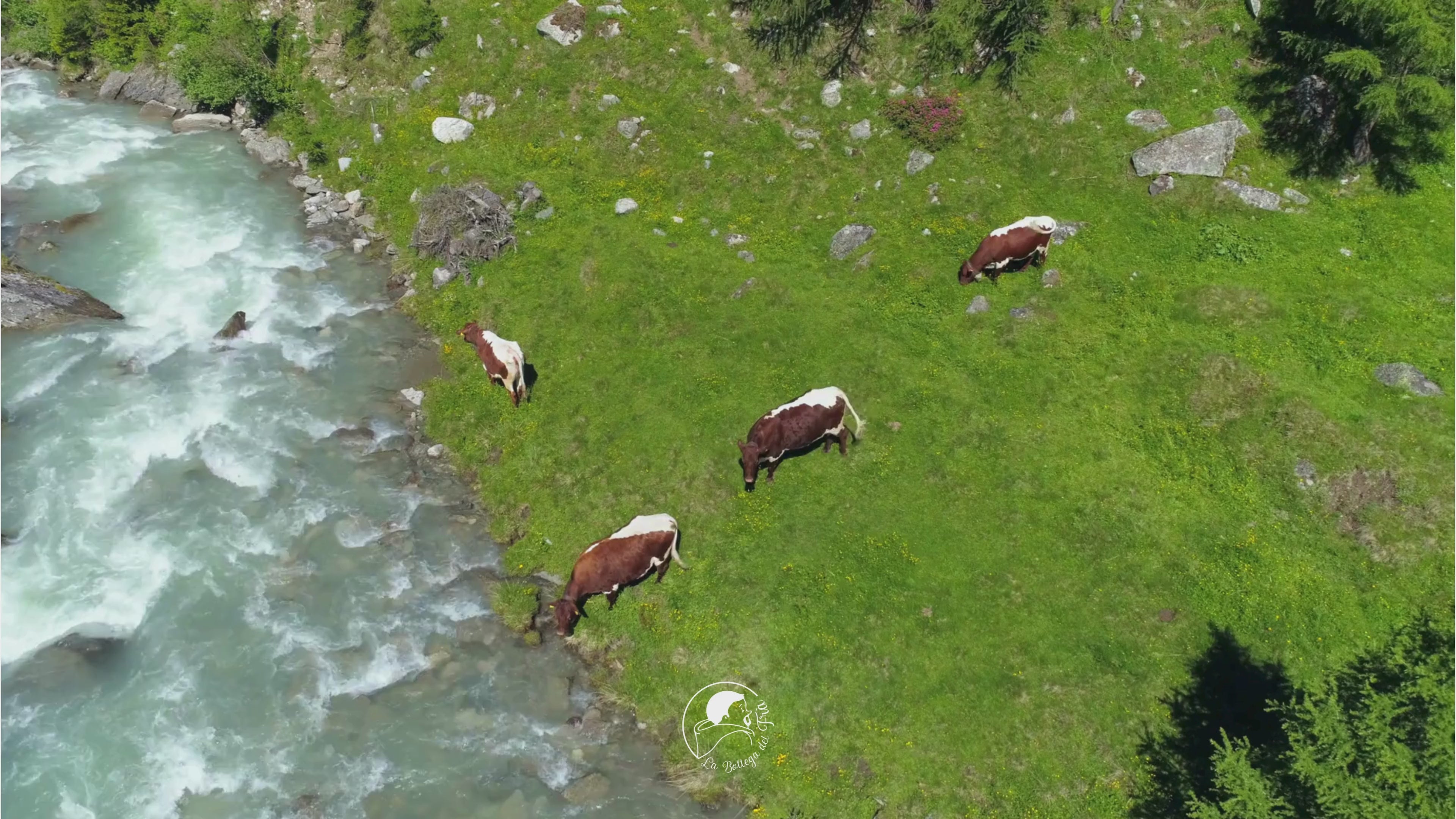 Carica il video: 